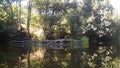 Photograph at the water`s edge in a river in CÃÂ¡ceres with stones in the background and tree branches in the water, in Spain.