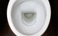 A photograph of a white ceramic toilet bowl in the dressing room or bathroom. Ceramic sanitary ware for correction of nee
