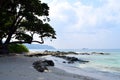 Cool Shade of Coastal Tree at Stony and Peaceful Beach - Landscape at Radhanagar Beach, Havelock Island, Andaman Nicobar, India Royalty Free Stock Photo