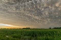 Mammatus clouds at the back of a severe thunderstorm in northern Nebraska