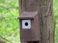 Bed and breakfast for Birds