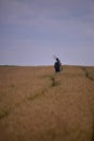 A photographer carrying a tripod on the wheat field. solo outdoor activity