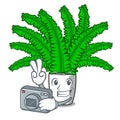 Photographer cartoon natural green fern in the forest