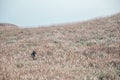 Photographer in field of Silvergrass