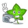 Photographer fresh green ivy leaf mascot cartoon Royalty Free Stock Photo