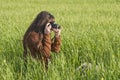 Photographer girl