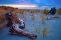 Photographer on hokitika beach ,south island new zealand