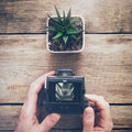 Photographer holding antique camera and taking a photo of succulent. Royalty Free Stock Photo