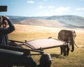 Photographer from a jeep shooting  large adult male elephant Elephantidae at grassland conservation area of Ngorongoro Royalty Free Stock Photo
