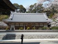 Photographer at Kanagawa Yokohama Japan Temple