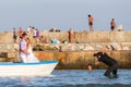 Photographer knee-deep in the water shoots a couple of affectionate newlyweds in a boat in the Black Sea bay, boy is gazing Royalty Free Stock Photo