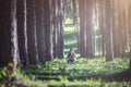 A photographer leaning on the tree, enjoying the moment she captured on her camera