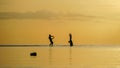 Silhouette photo. people taking picture on the beach at sea and sunset. Having fun in the morning and take pictures with the Royalty Free Stock Photo