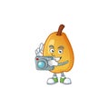 Photographer ripe fragrant pear fruit cartoon character Royalty Free Stock Photo