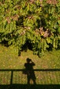 Photographer's shadow