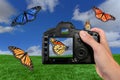 Photographer Shooting Butterflies in the Air