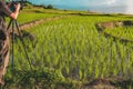 Photographer take photo of rice terrace paddy field Royalty Free Stock Photo