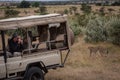 Photographer takes picture of cheetah from truck
