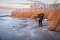 Photographer takes a picture on a frozen lake