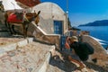 Photographer takes pictures donkey, Oia, Santorini Royalty Free Stock Photo