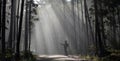 Photographer is taking photo while exploring in the pine forest for with strong ray of sun light inside the misty pine forest for Royalty Free Stock Photo