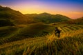 Photographer taking photo of Rice fields on terraced with wooden Royalty Free Stock Photo