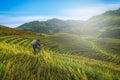 Photographer taking photo of Rice fields on terraced with wooden Royalty Free Stock Photo