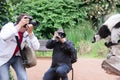 Photographer taking photo of striped lemur at the zoo