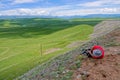 Alpine grassland scenery