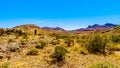 Photographer taking a picture of Colorful Mountains along Northshore Road SR167 in Lake Mead National Recreation Area Royalty Free Stock Photo