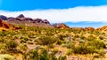 Photographer taking a picture of Colorful Mountains along Northshore Road SR167 in Lake Mead National Recreation Area