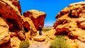 Photographer taking a picture of Colorful Mountains along Northshore Road SR167 in Lake Mead National Recreation Area Royalty Free Stock Photo