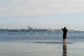 Photographer taking pictures of a group of swans. Royalty Free Stock Photo