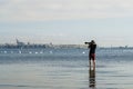 Photographer taking pictures of a group of swans. Royalty Free Stock Photo