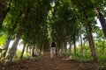 Photographer walks through a Tree pathway