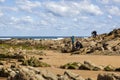 Photographers at the rocky beach