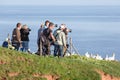 Photographers taking pictures of Northern Gannets at German island Helgoland