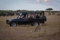 Photographers in truck parked behind sitting cheetah