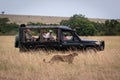 Photographers in truck watch cheetah in grass