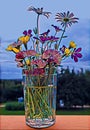 Photographic art picture of various wild summer flowers in facetted glass with spring water