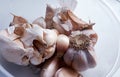 The photographic of original garlic