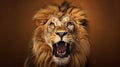 Photographically Detailed Portrait Of An Angry Lion Roaring Royalty Free Stock Photo