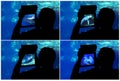 Photographin aquarium. Collage