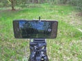 Photographing a forest landscape on a phone mounted on a professional photographer\'s tripod