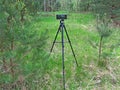 Photographing a forest landscape on a phone mounted on a professional photographer\'s tripod