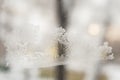 Frosty patterns on the edge of a frozen window Royalty Free Stock Photo