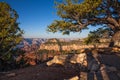 Photographing the Scenic Grand Canyon North Rim Royalty Free Stock Photo