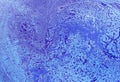 Photography of abstract marbleized effect background. Blue, red and white creative colors. Beautiful paint. banner Royalty Free Stock Photo