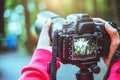 Photography asian woman travel nature. Travel relax. Nature Study. At public park in summer. National park doi inthanon in