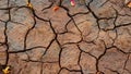 Photography background cracked drought land